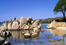 足球比分旧版新浪有哪些特点和回忆？